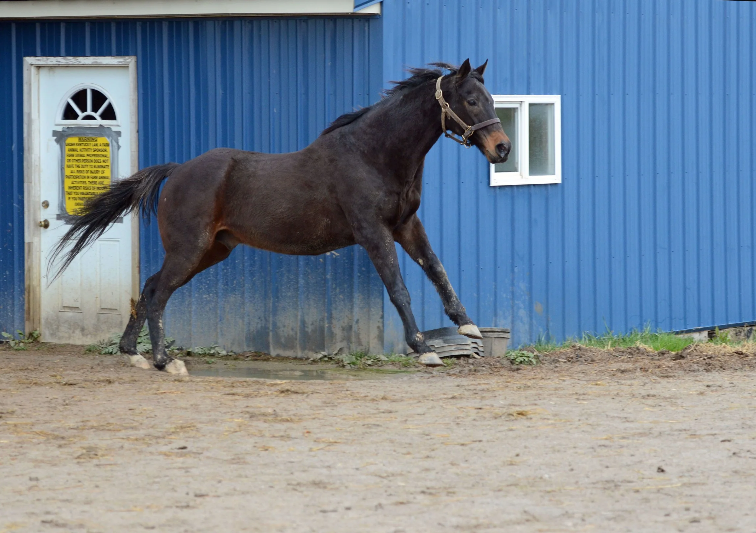 Our Mims Tom Ferry.jpeg