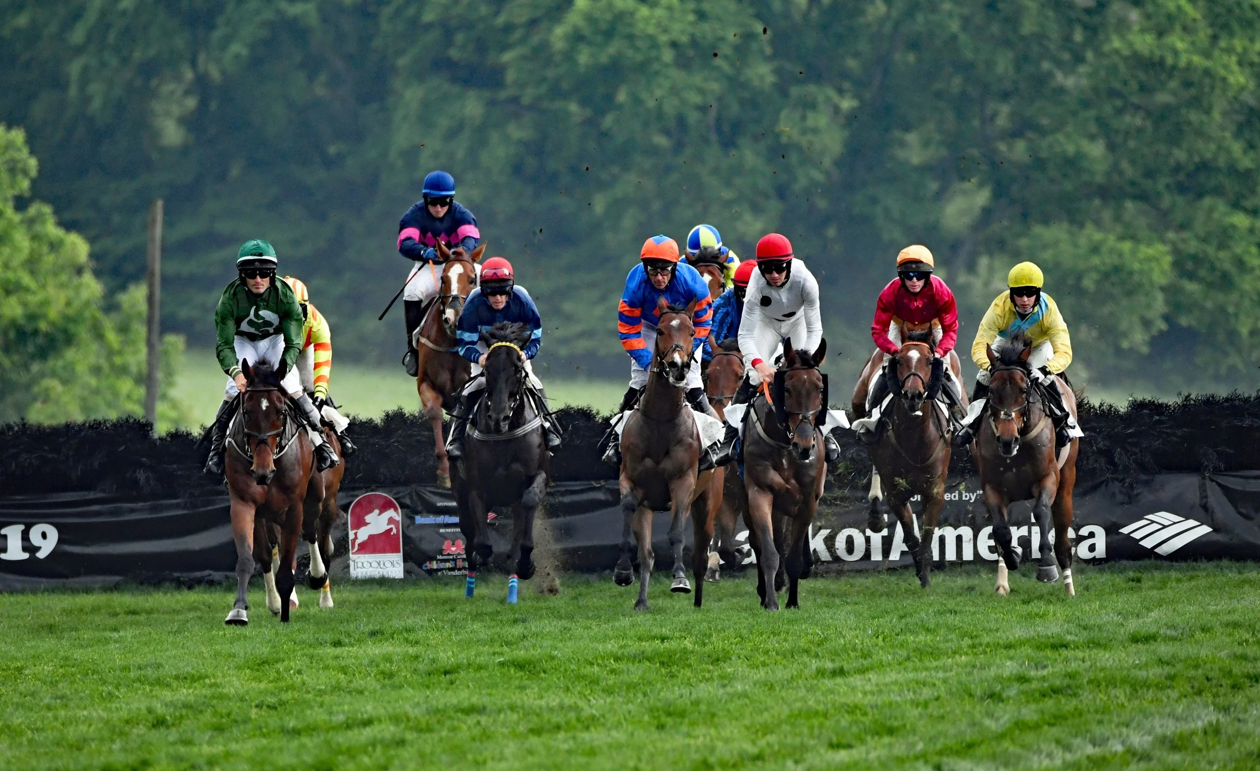 Iroqouis Steeplechase Tom Ferry.jpeg