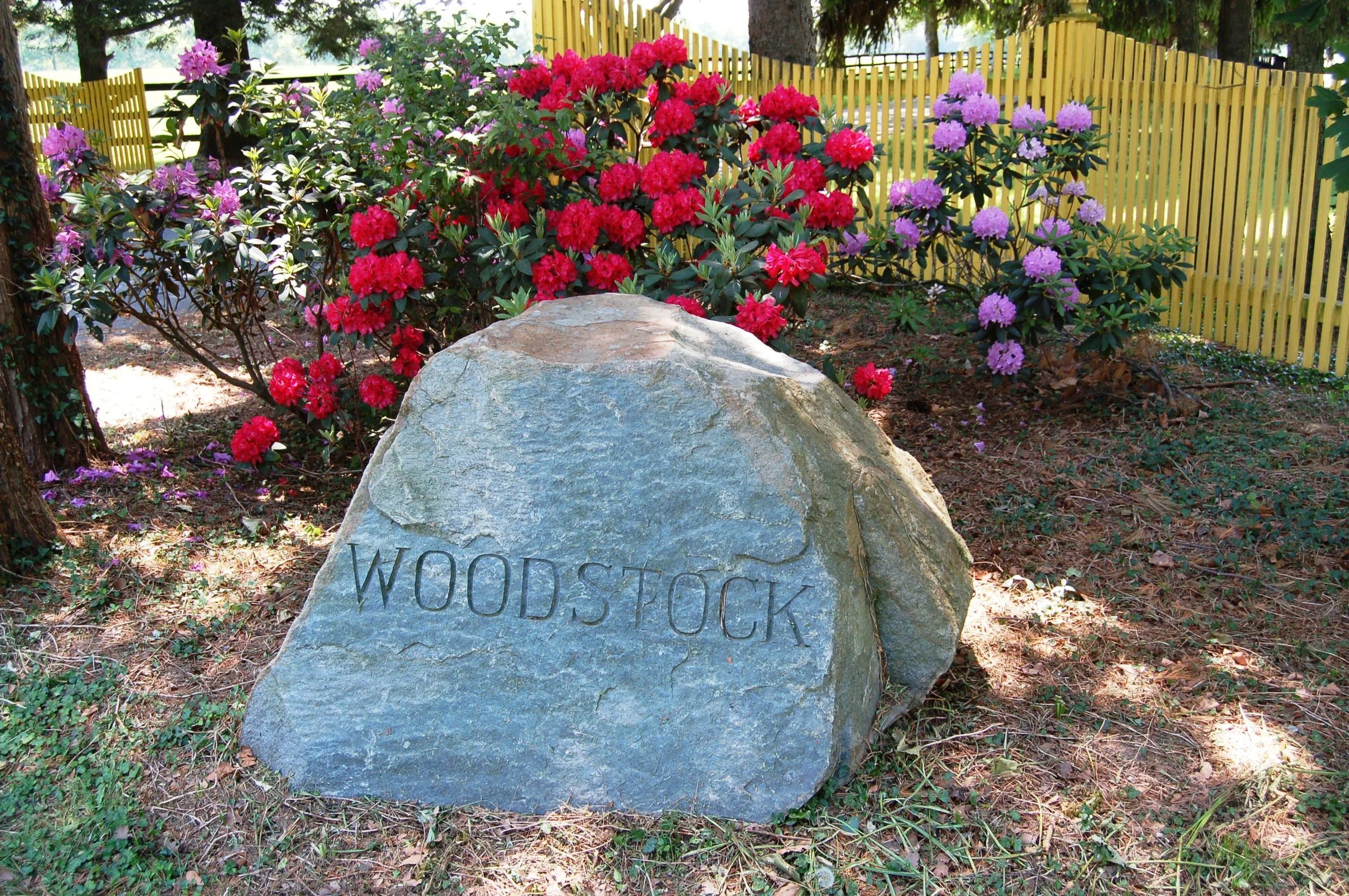 Kelso Woodstock Tom Ferry.jpeg