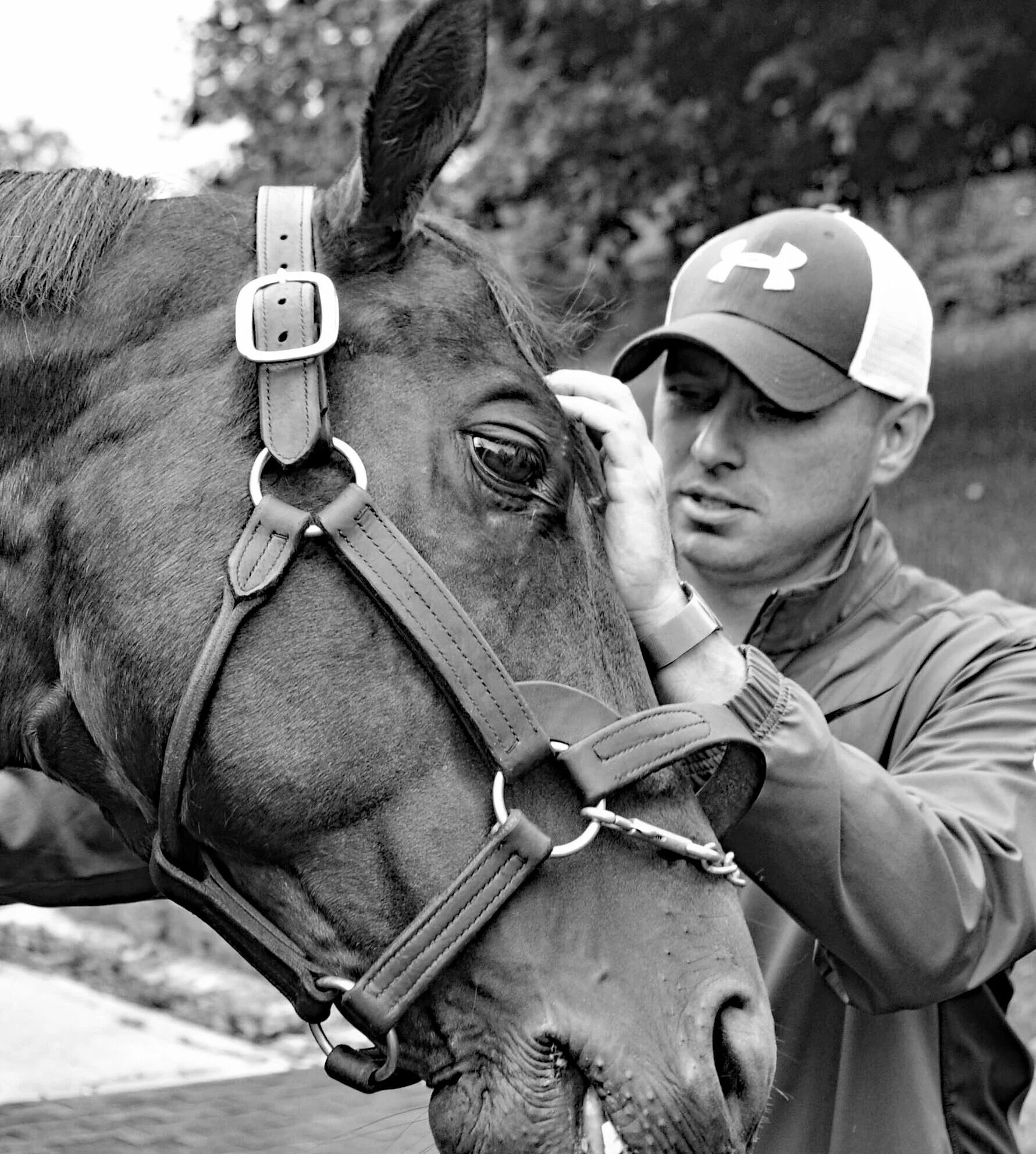Claiborne Farm Hancock Tom Ferry.jpeg