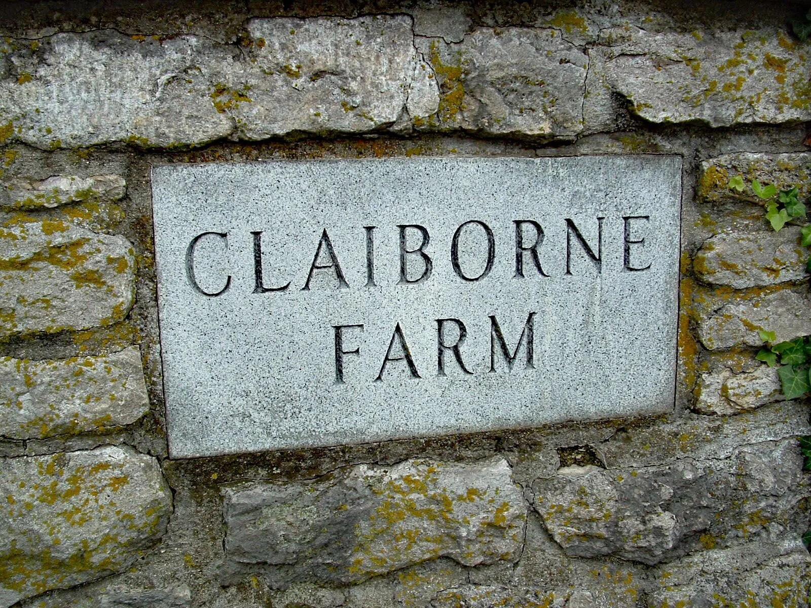 Claiborne Farm Sign Tom Ferry.jpeg