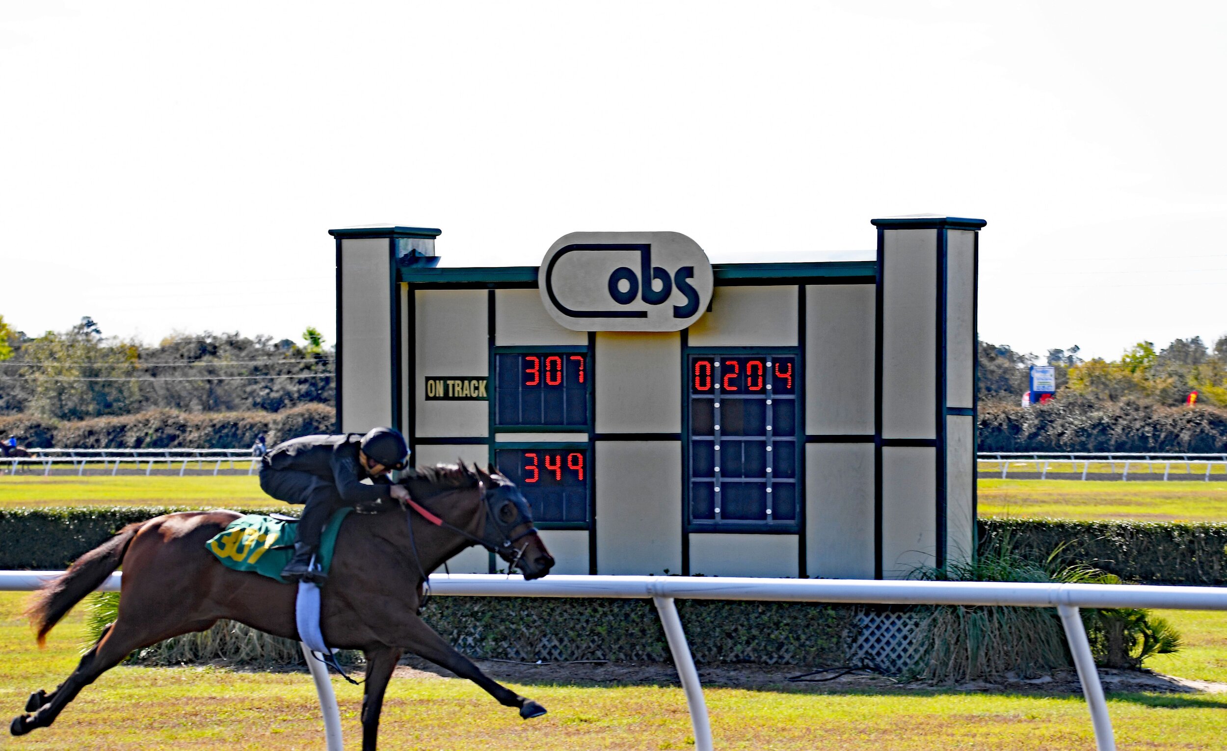 Horse Stalls — 307 Horse Racing