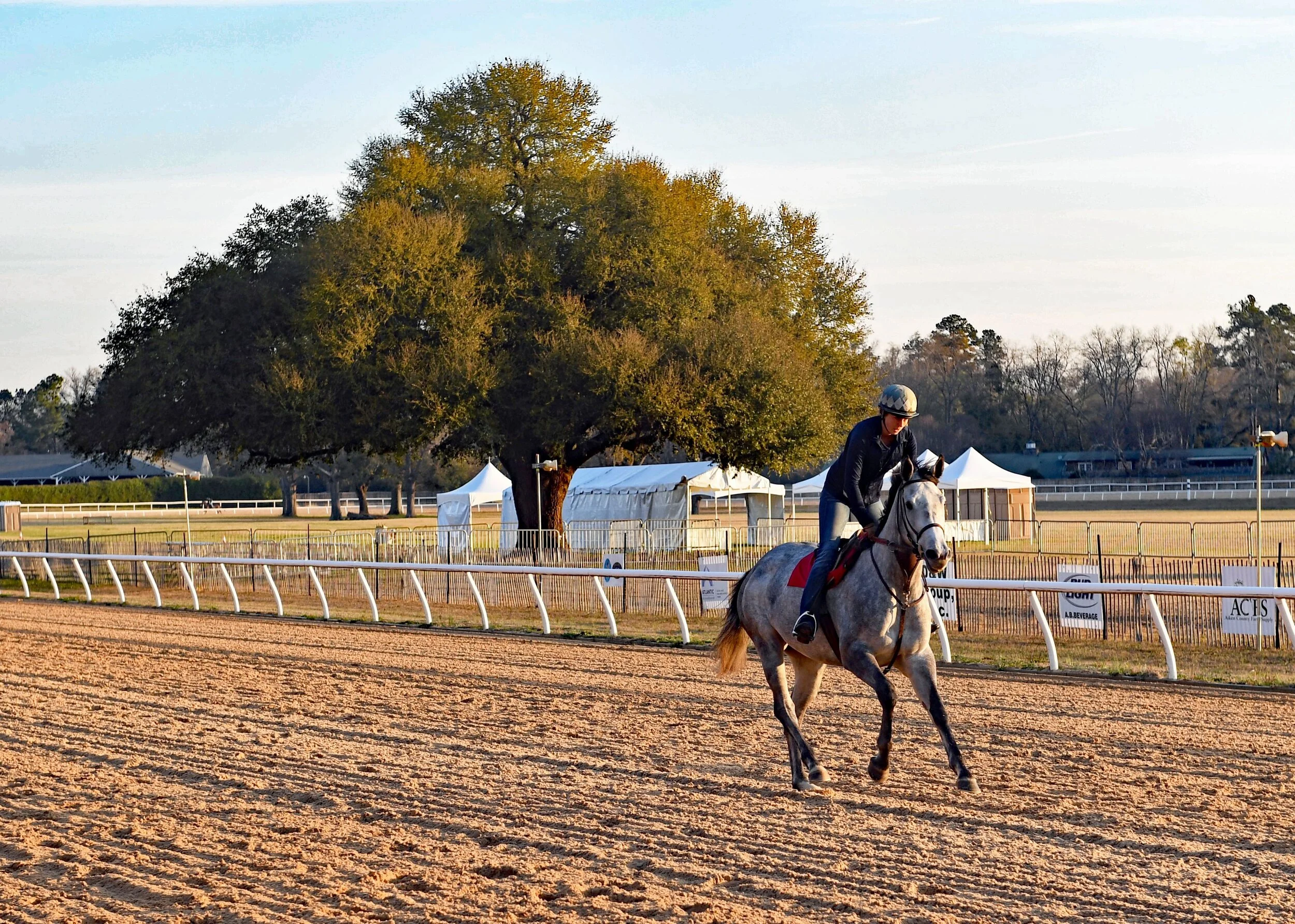 Aiken 5.jpeg