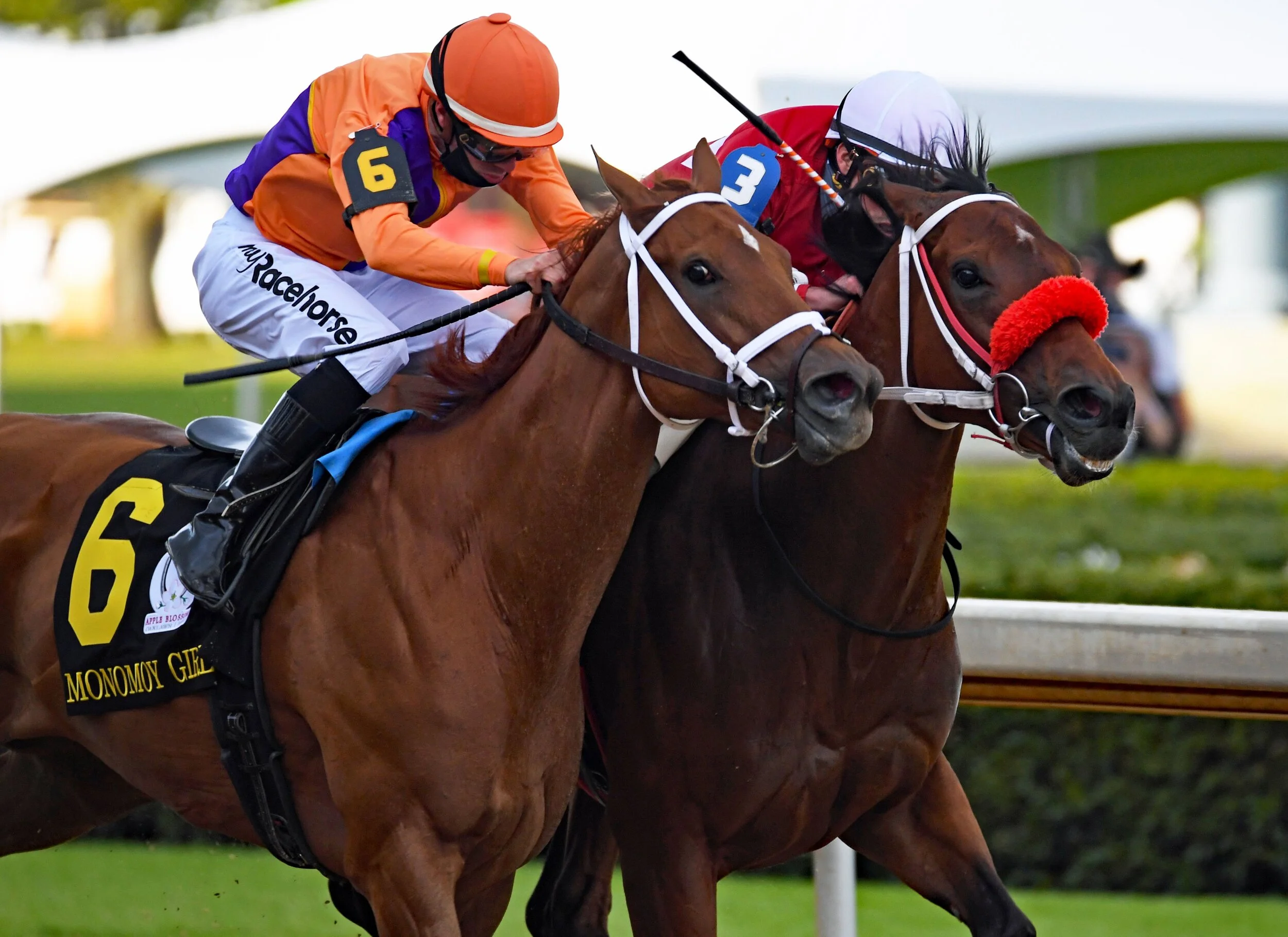 Letruska Prevails in a Battle of Champions in Oaklawn Park’s Apple Blossom Handicap (G1)