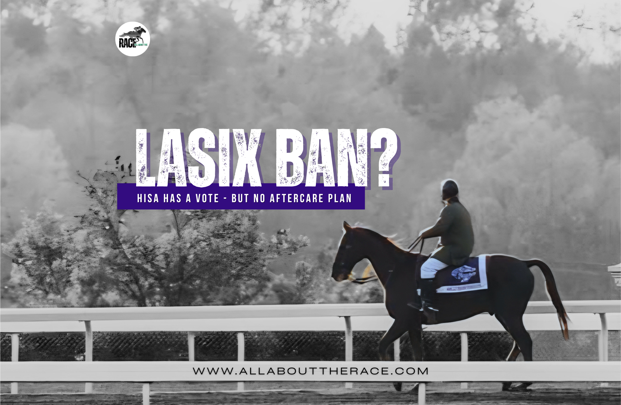 Lasix Ban? HISA Has a Vote—But No Aftercare Plan