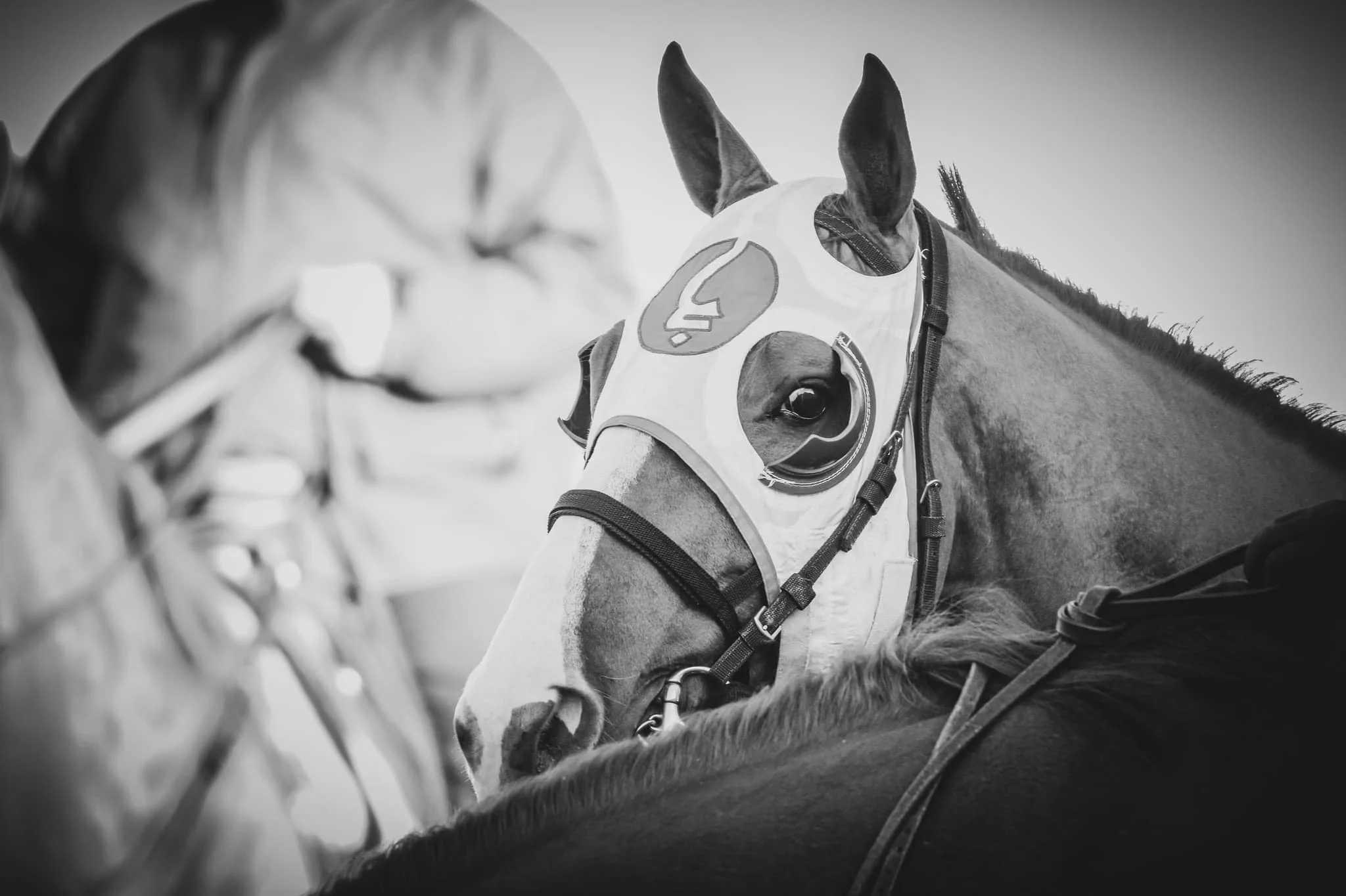 Mystic Guide at Keeneland, All About The Race Graphic Design Business Services