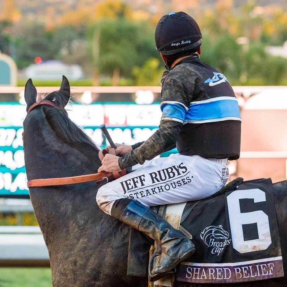 Shared Belief and Mike Smith in the 2014 Breeders' Cup Classic, Jeff Ruby's Steakhouses sponsored