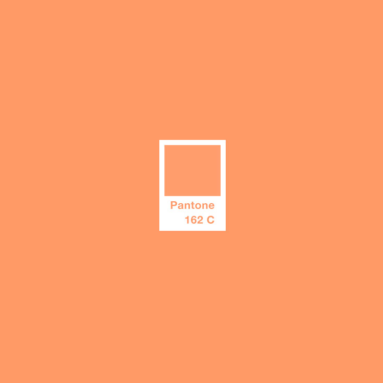 Pantone162C.jpg