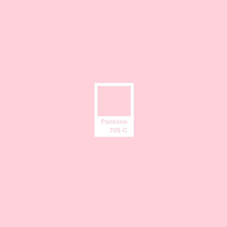 Pantone705C.jpg