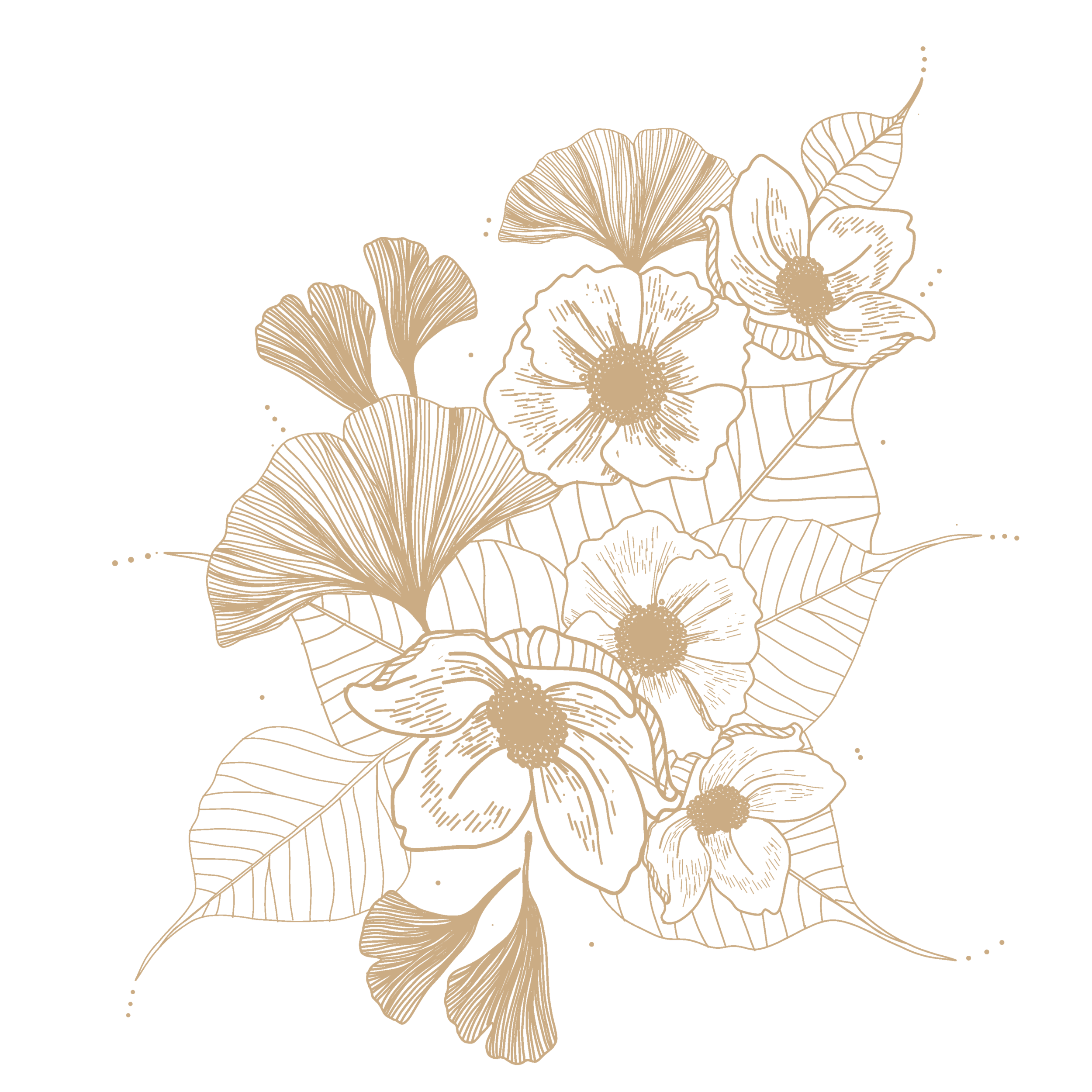 Untitled-1.png