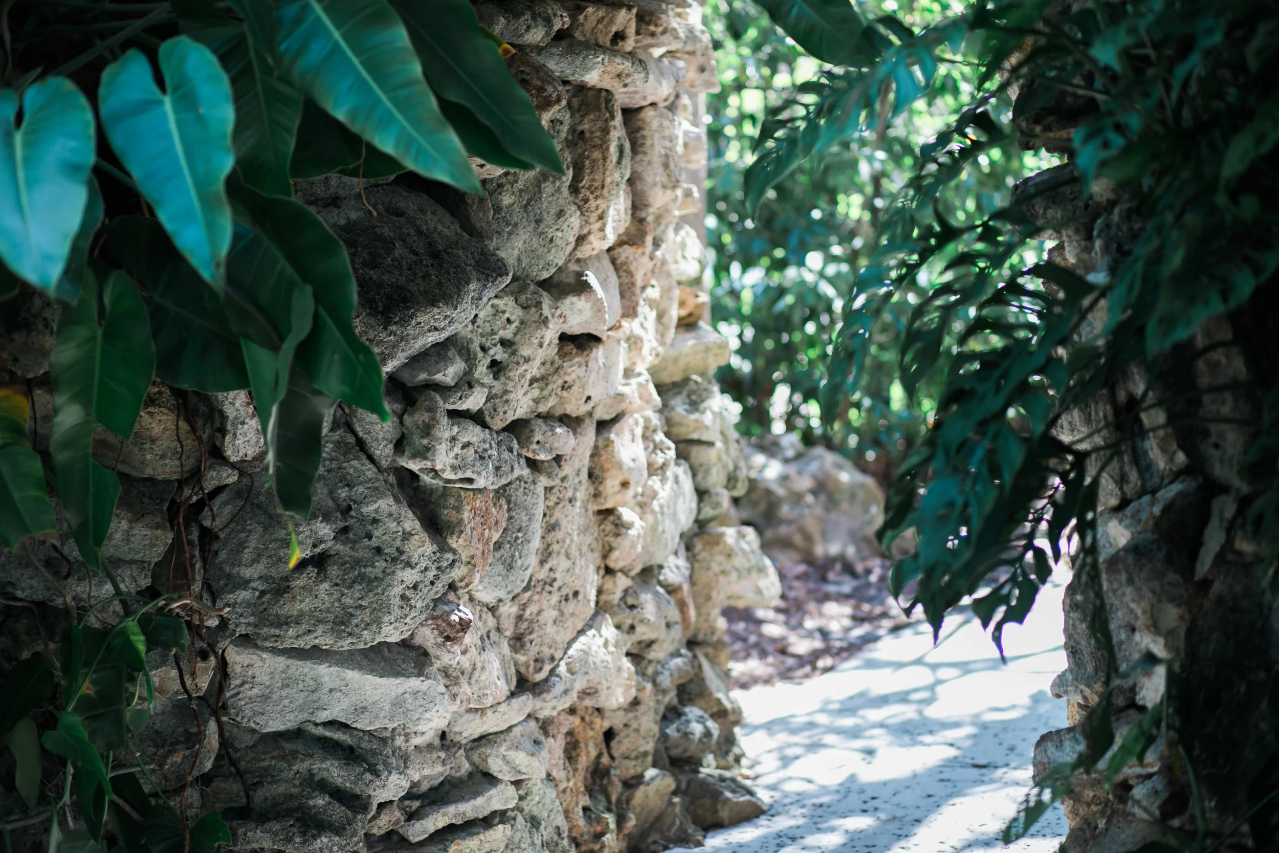 Carmela Blackwell Photography-Justin & Rachel Esession 2016-2.jpg