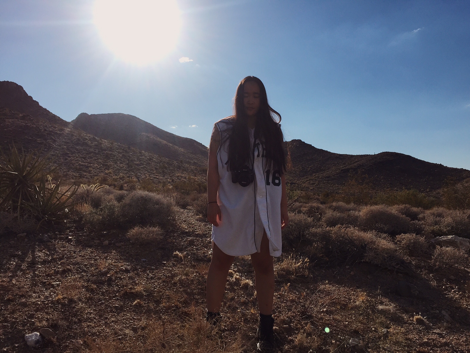 Nevada Heat