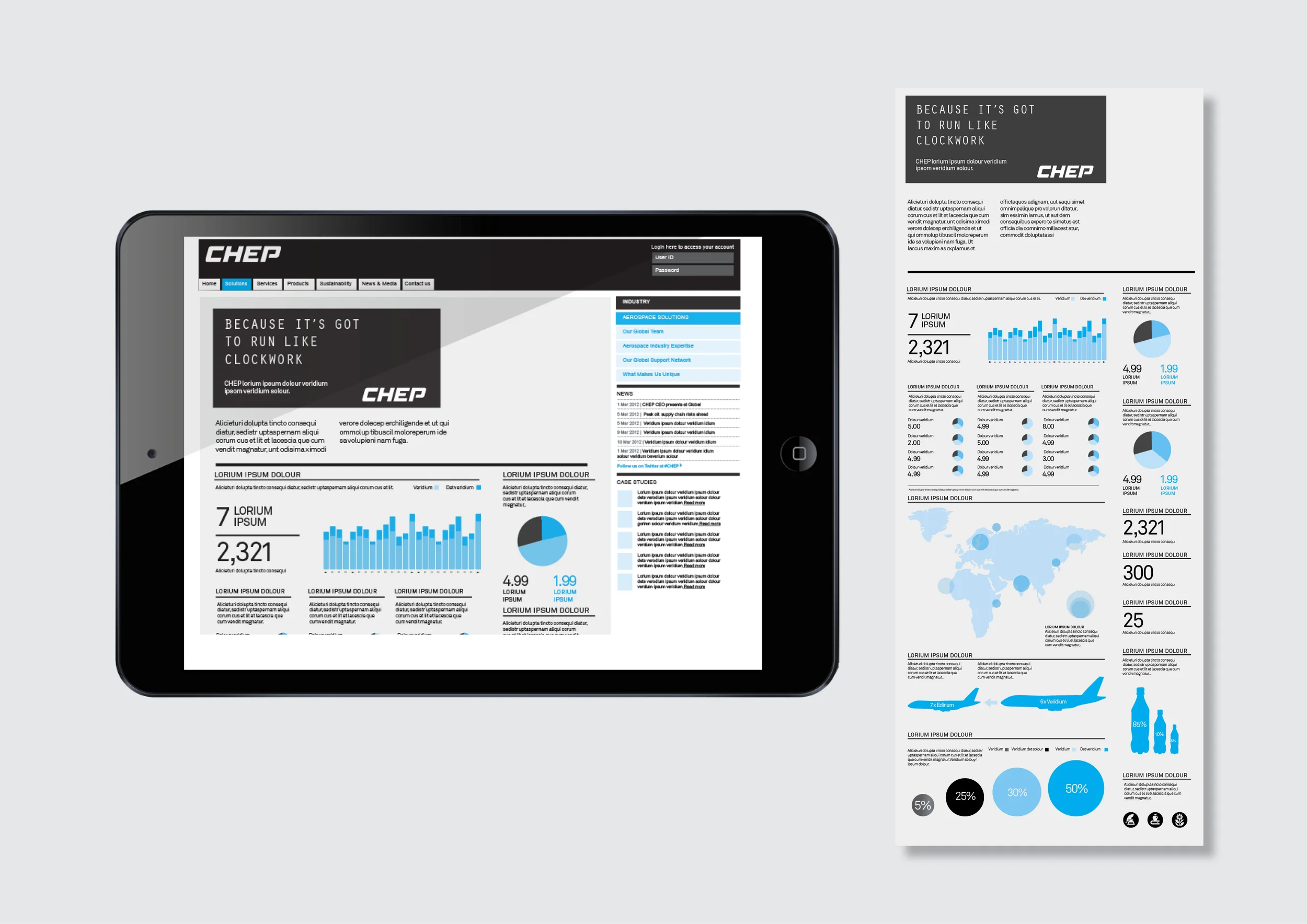 CHEP Case study Storyboard5.jpg