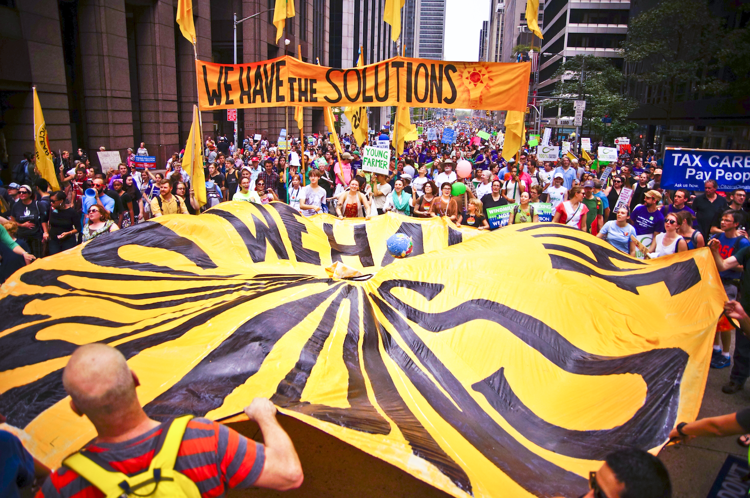 We Have The Solutions Contingent
