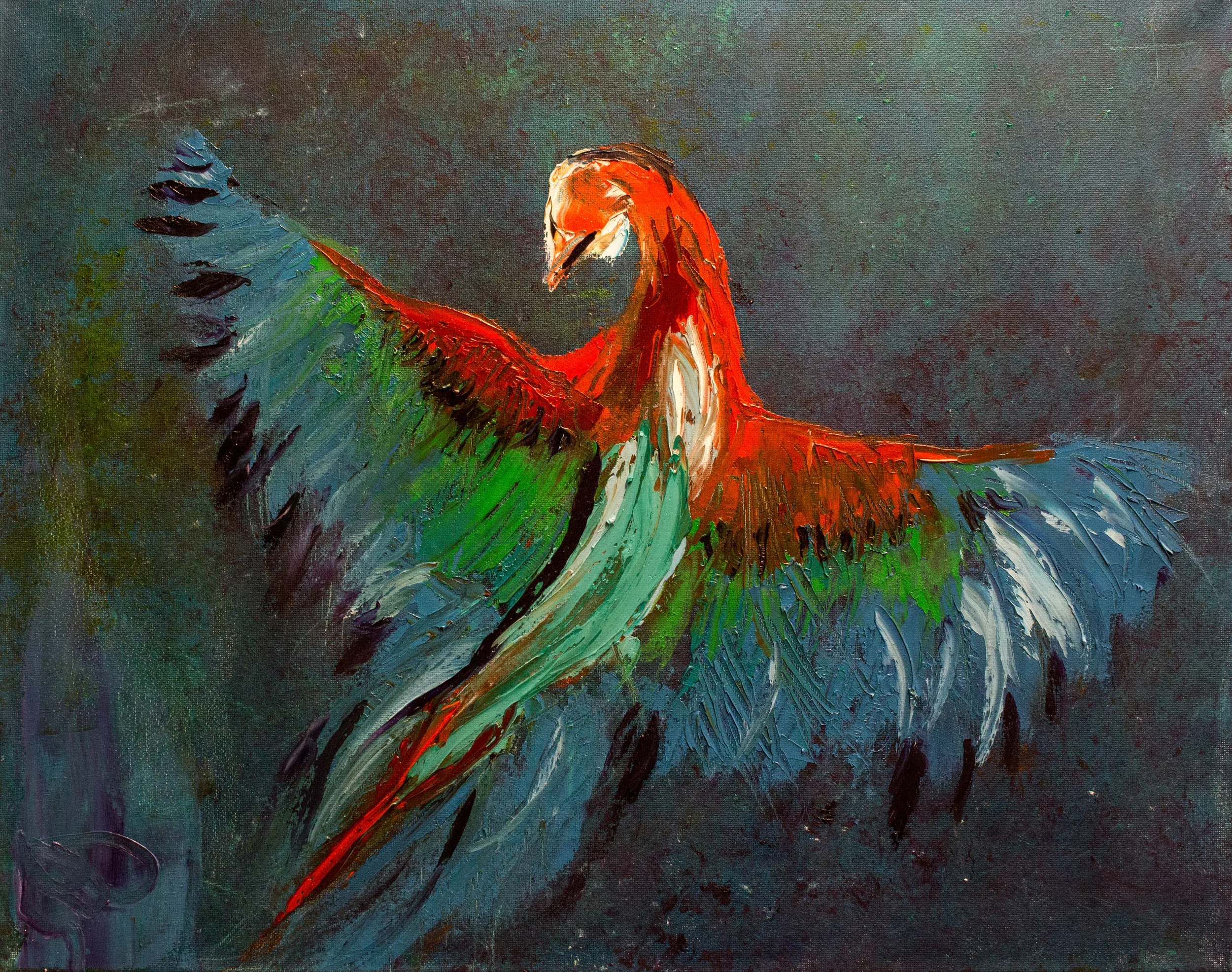 Macaw