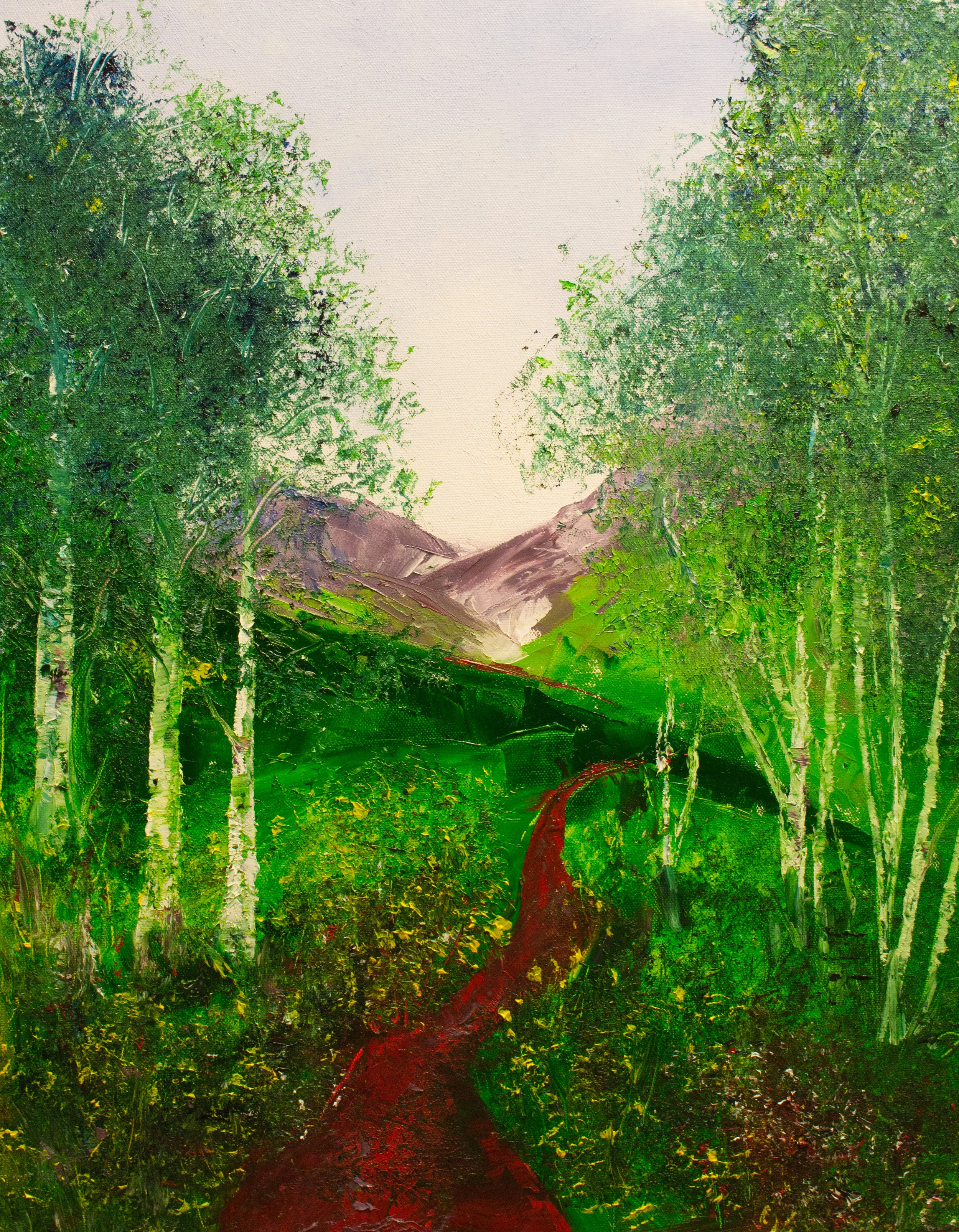Pass Near Crested Butte