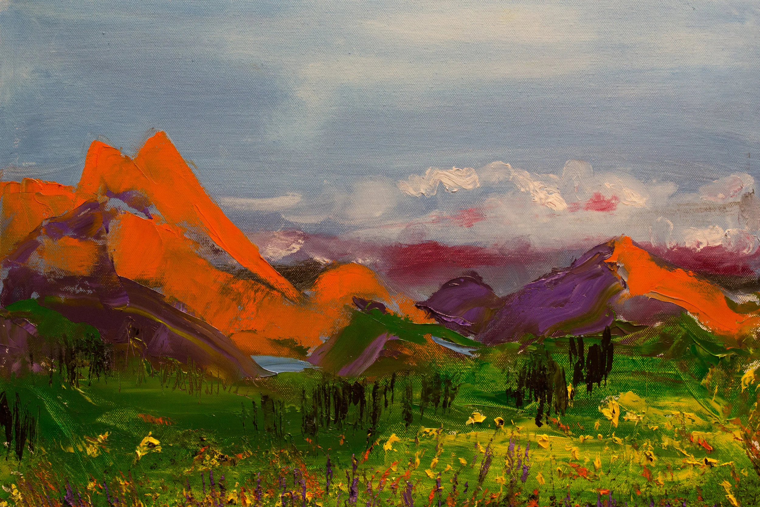 Red Rocks and a Meadow