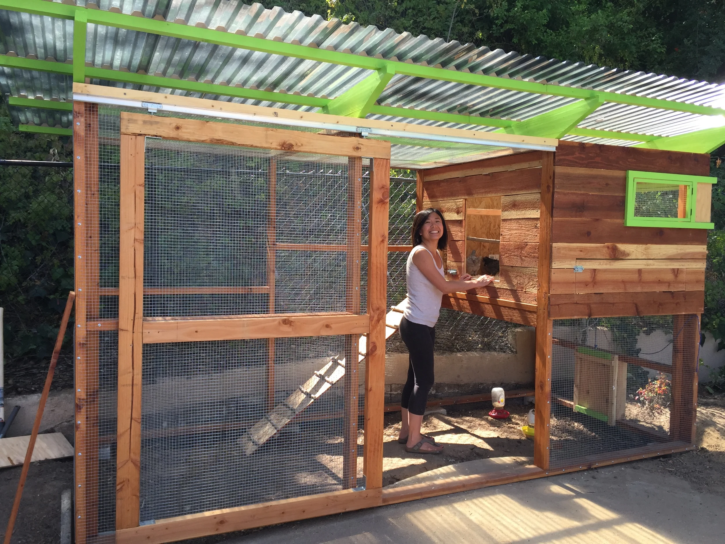 Building A Chicken Coop