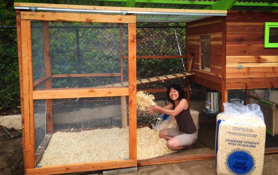 We chose to use the wood shavings deep bedding method for cleaning. It's simple, easy to maintain and proves to be odor free for us. The bedding needs to be at least 6" deep and looks like we probably have to clean out once every 5 months with our 10 young girls.