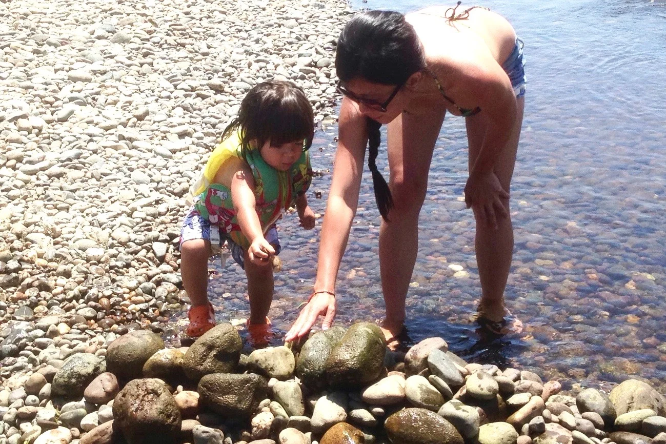 American River, Sacramento CA June 2014