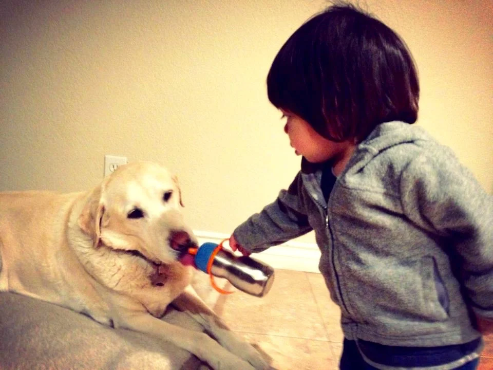 Sharing his smoothie with Logan