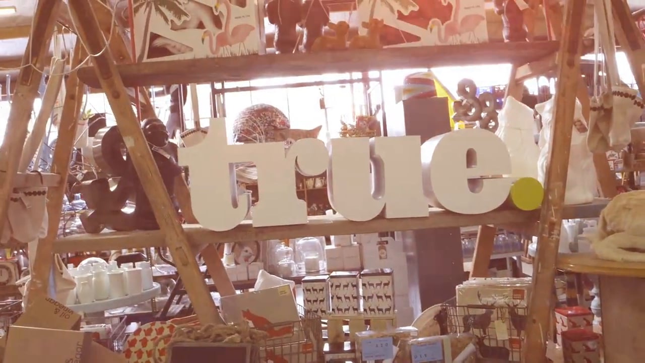 true. | Manifesto : Director Mikee Carpinter