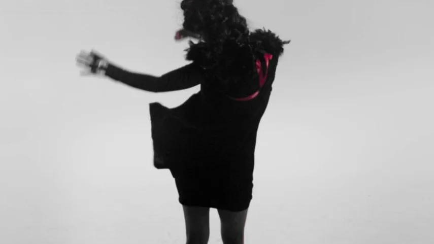 ANNA CODDINGTON BIRD IN HAND | Director Aidee Walker