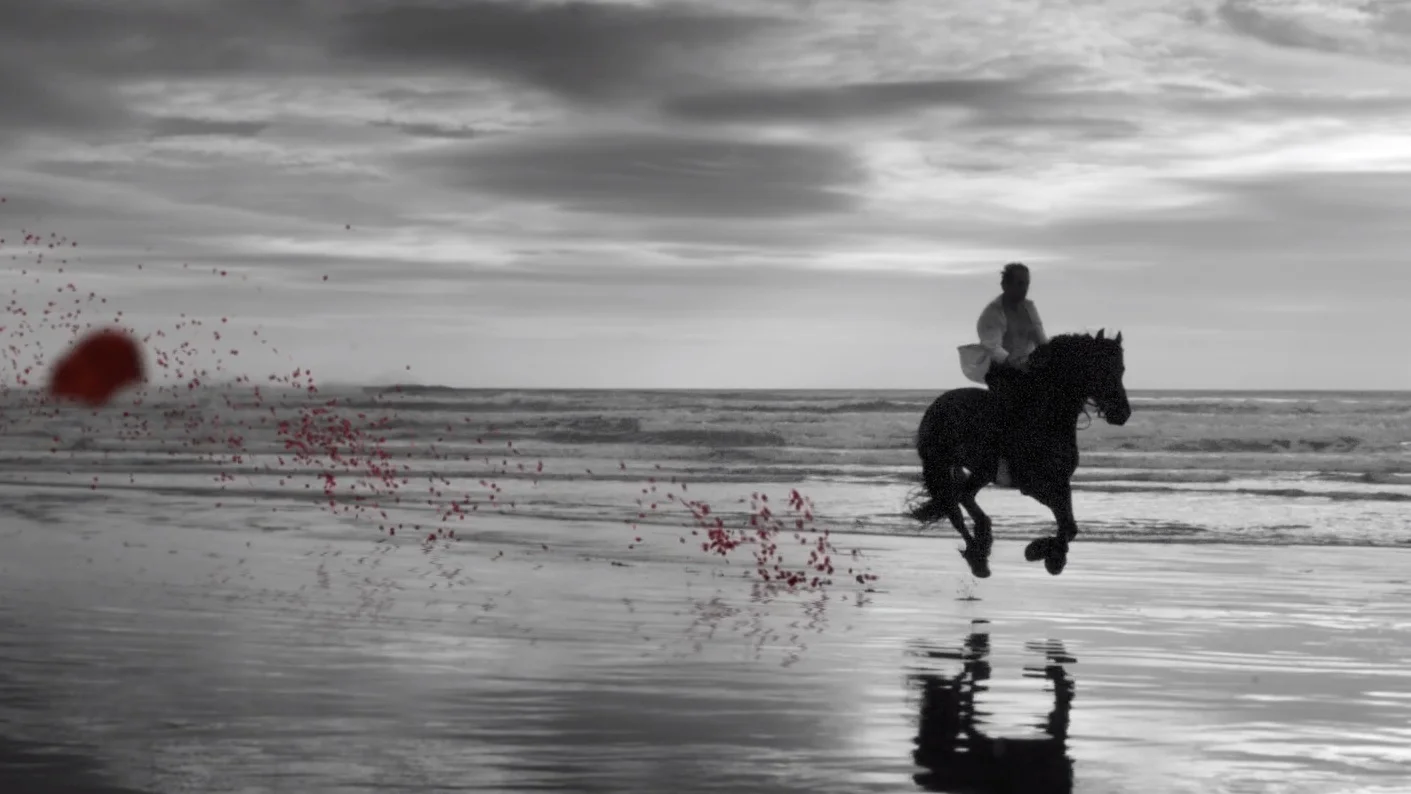 Bachelor TVC | Director | Ant Farac