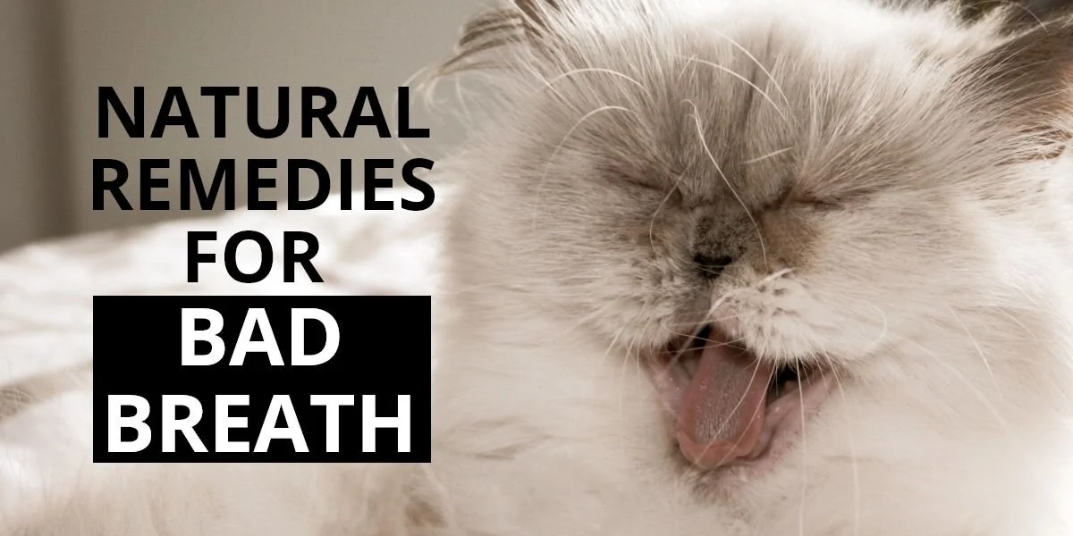 Natural Remedies for Bad Breath