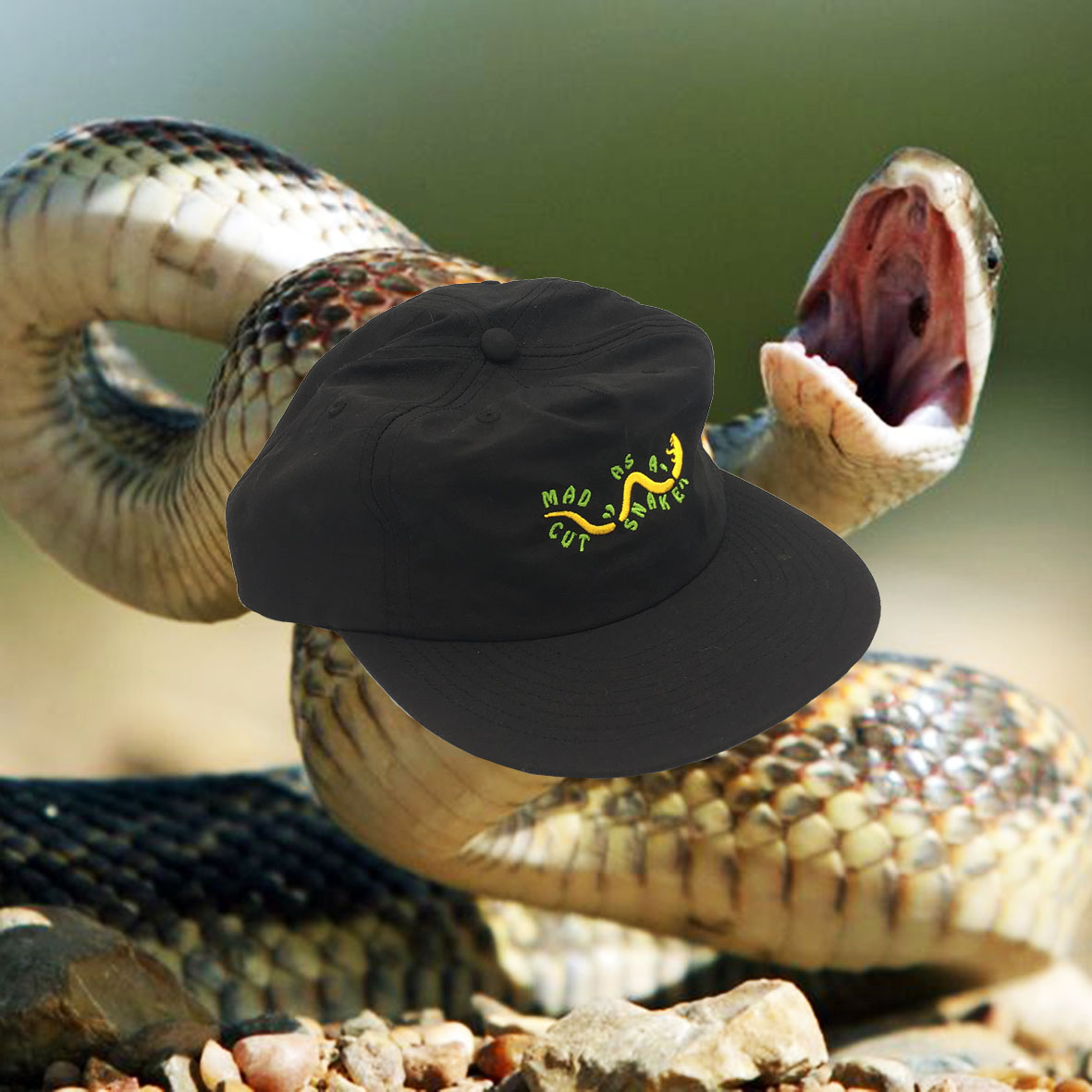 MADAS PROMO_1.jpg
