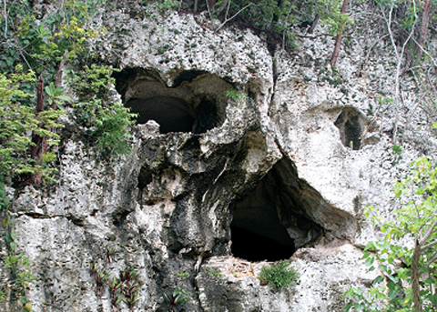 skull cave.jpg