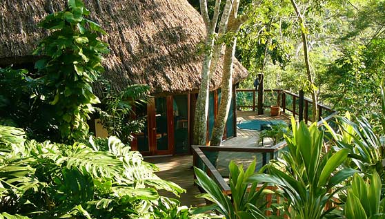 belize-treetop-houses-suites-chaa-creek-luxury-resort-home-accom.jpg