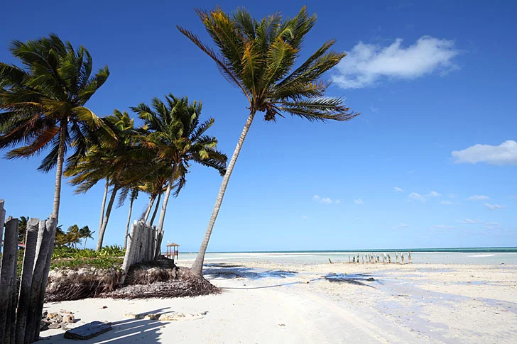 PHOTO CREDIT: bugbog.com