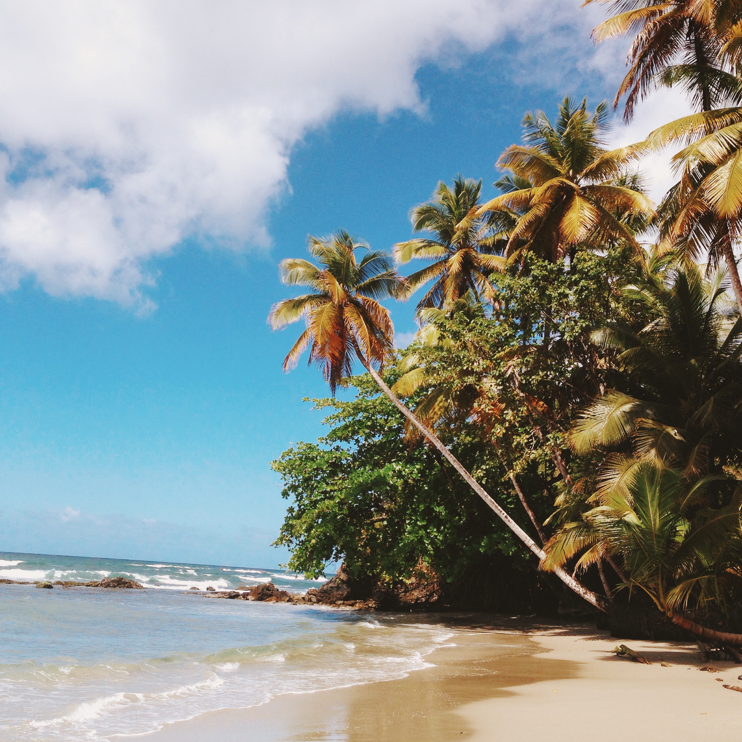 Trinidad & Tobago Beach