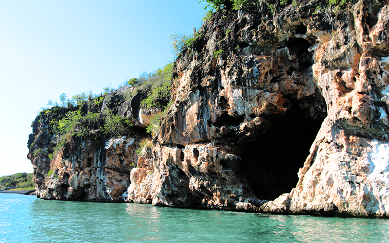 Little Bay 2.png