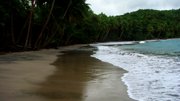 HAMPSTEAD BEACH.png