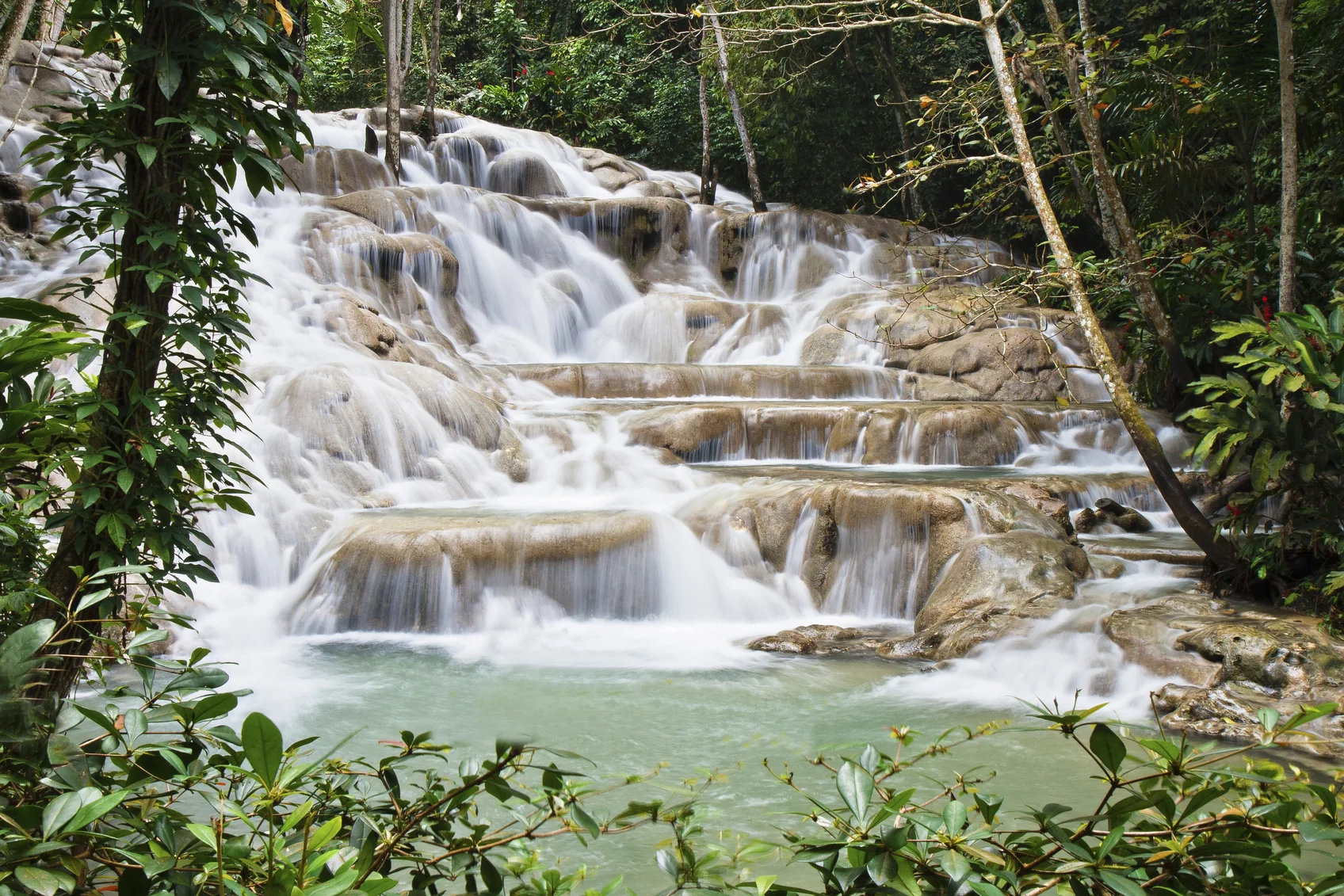 iStock_15893265_MEDIUM.jpg