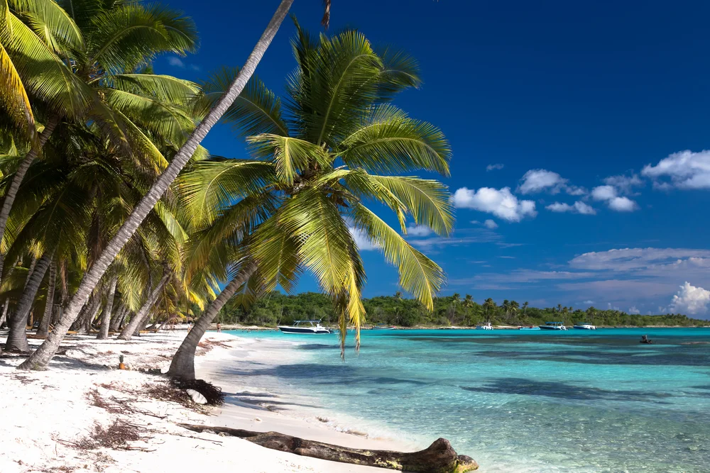 shutterstock_421073251.jpg
