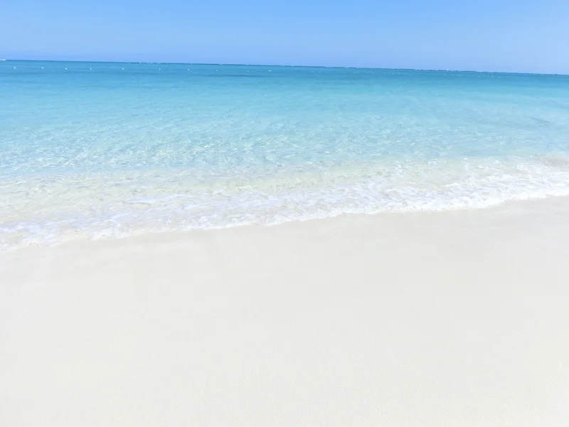 iStock_78914189_SMALL.jpg