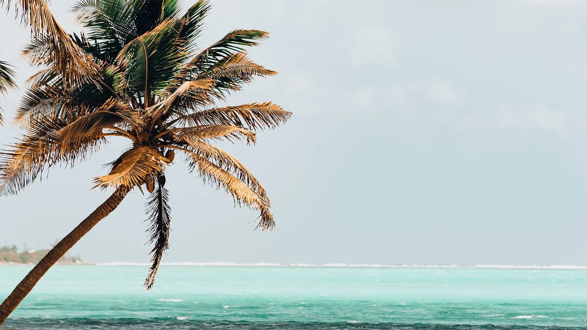 little cayman thumbnail.jpg