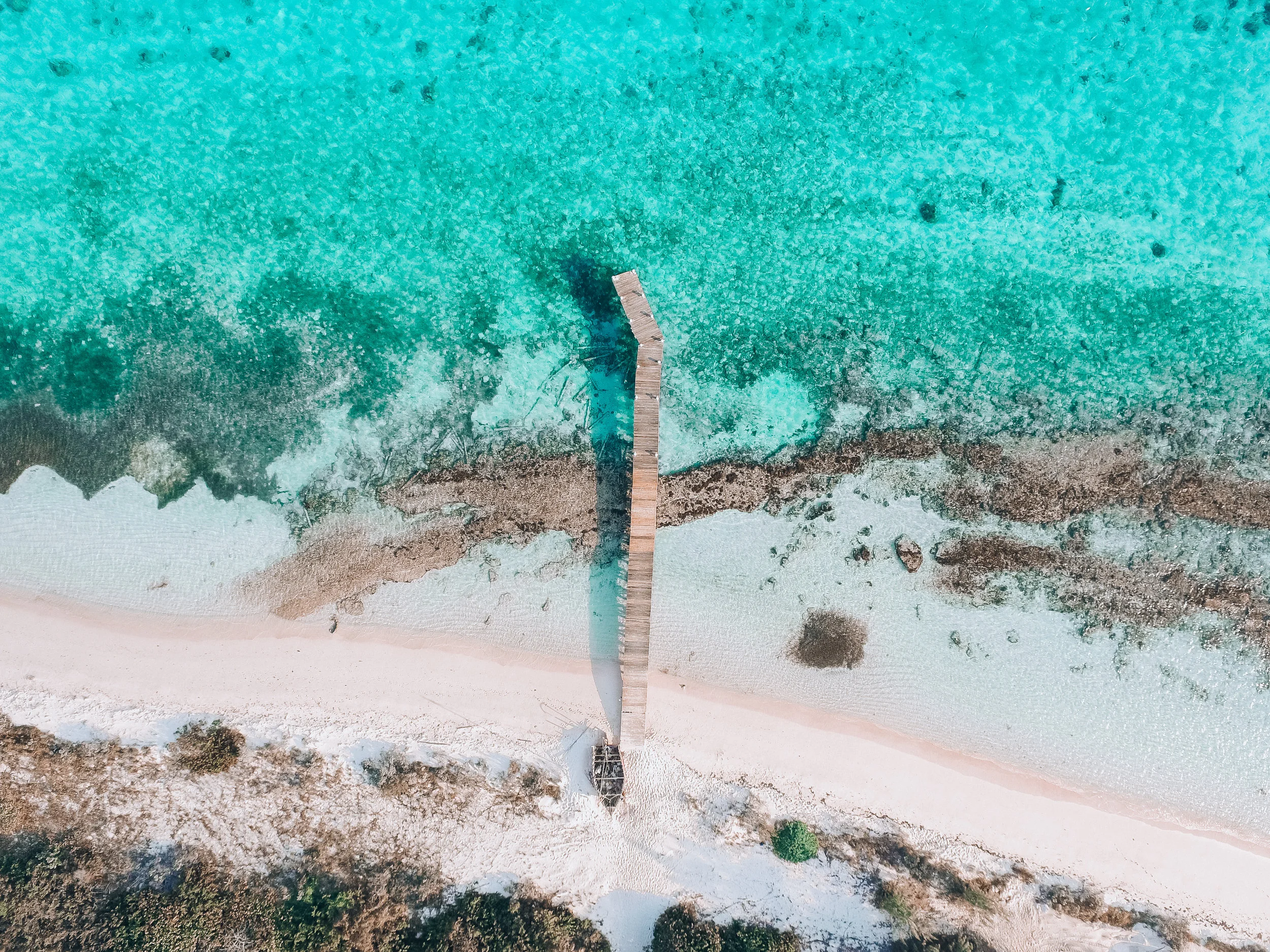 DJI_0002.jpg