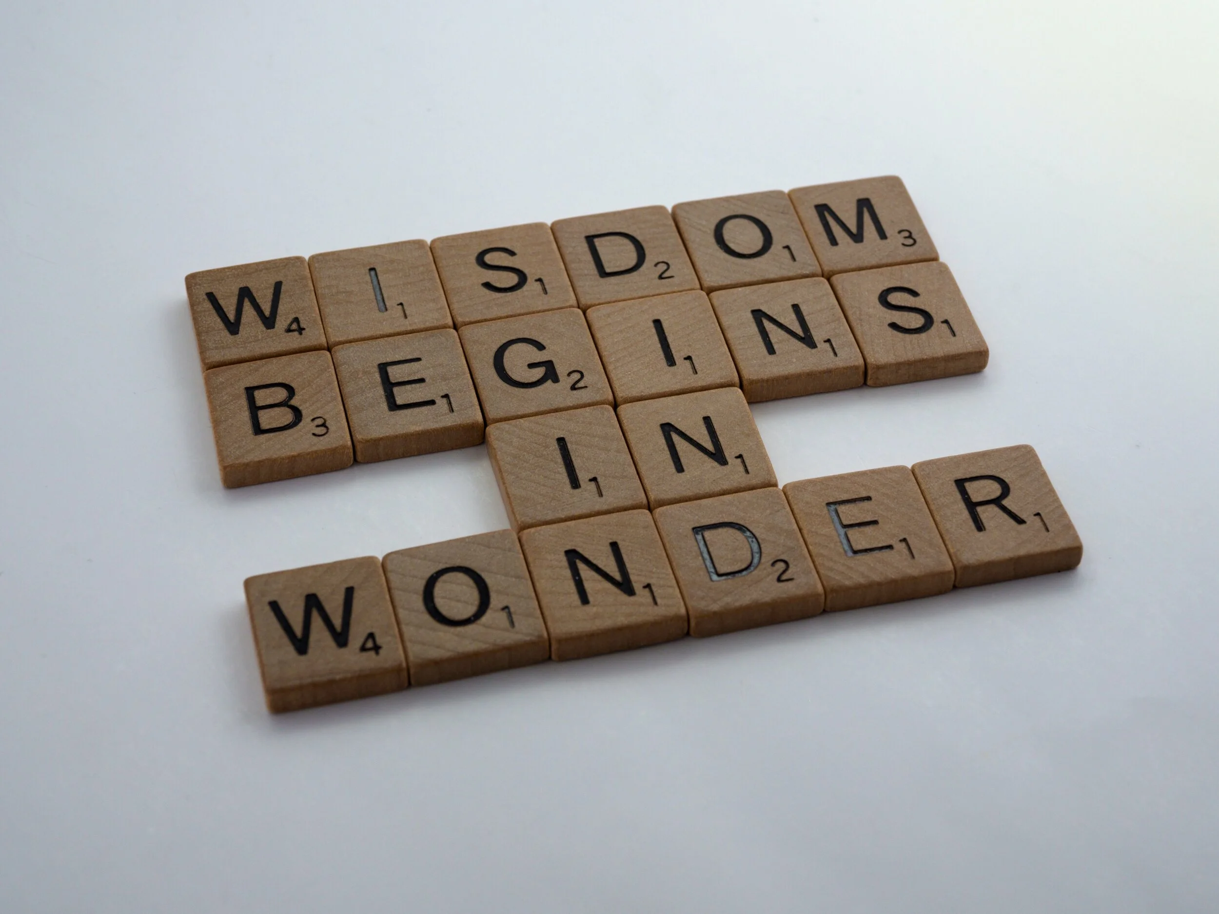 FOOLISH WISDOM