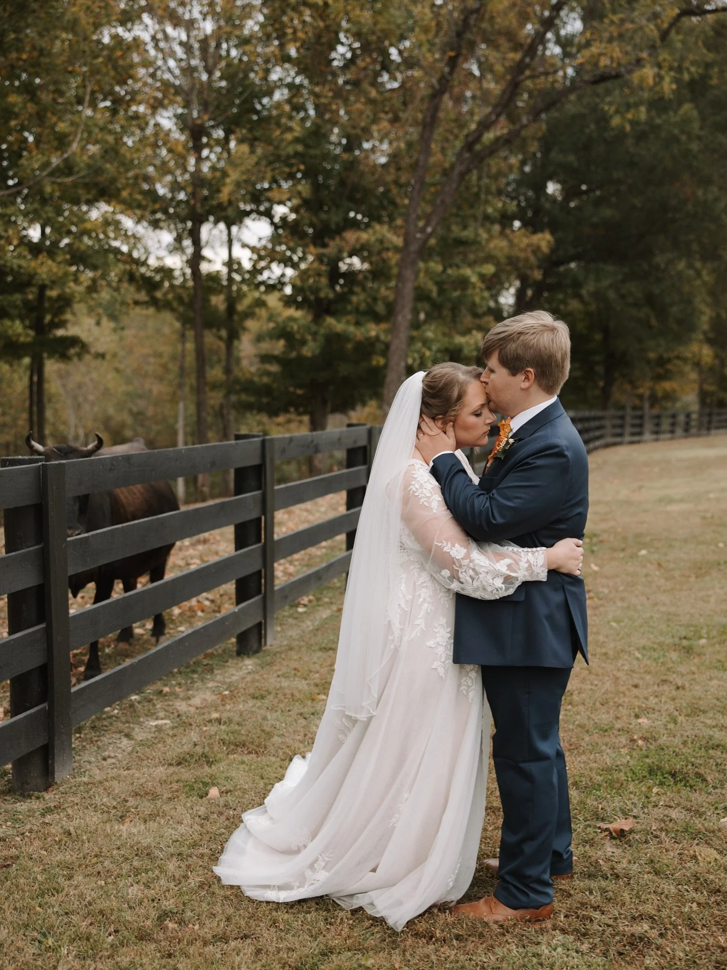 Matt &amp; Jess, featuring a bovine photo-bomber, some precious flower girls and a whole lot of sweetness 🥰