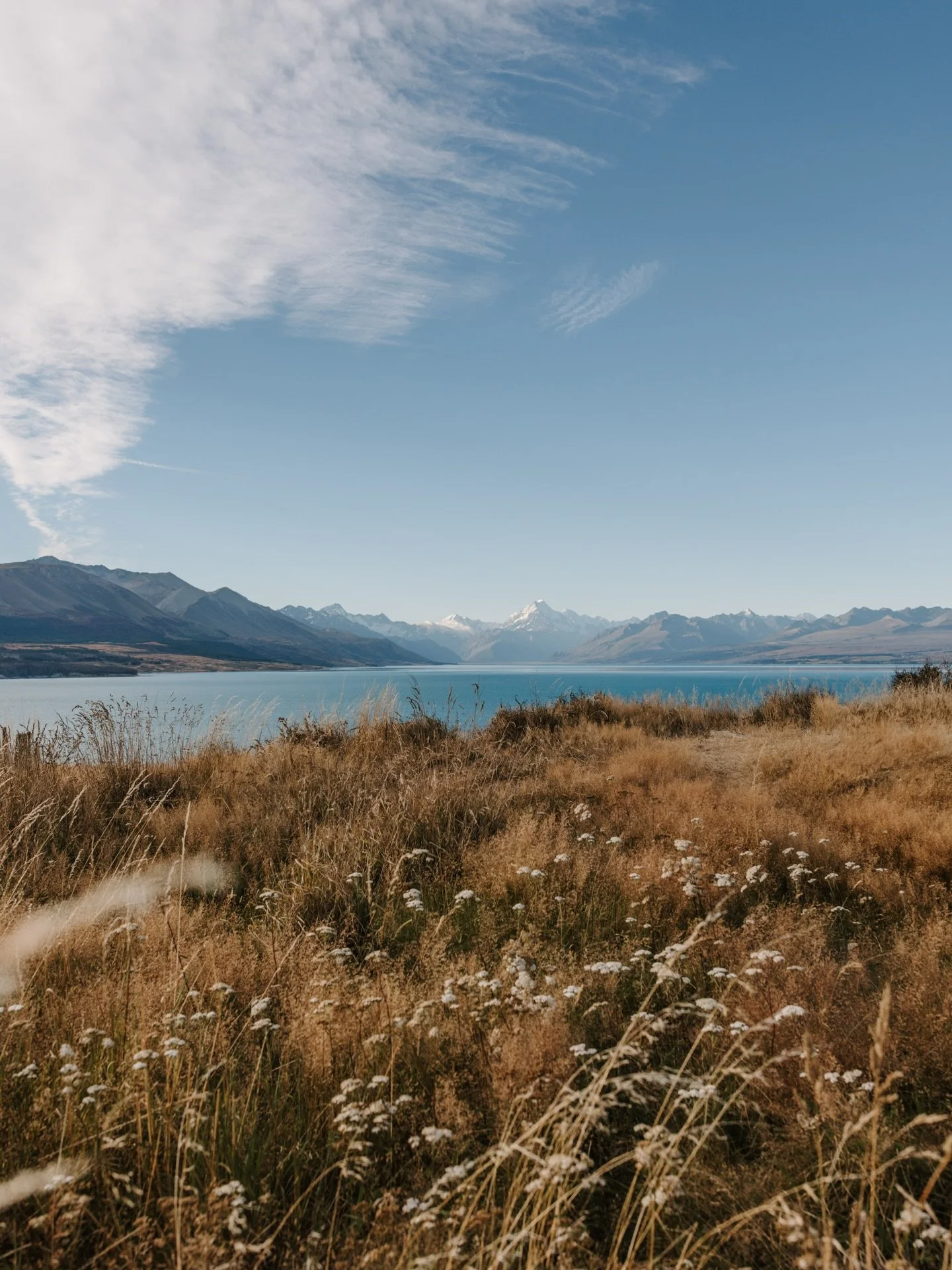 Throwback to one of my favorite feelings of 2025, standing in this field of dancing, golden grass with Mt Cook in the distance and a soft evening breeze swirling around.