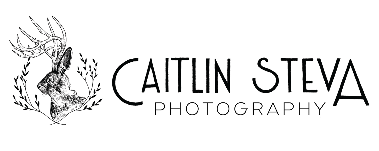 Caitlin Steva Photography