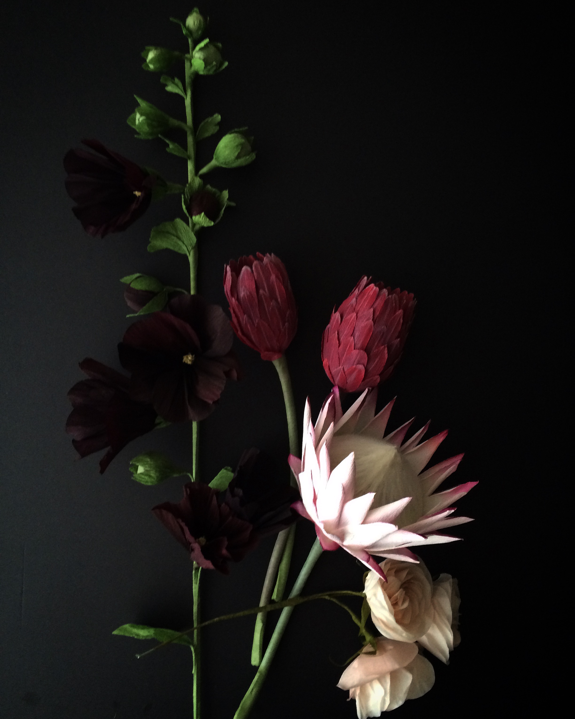 proteas, hollyhocks, garden roses