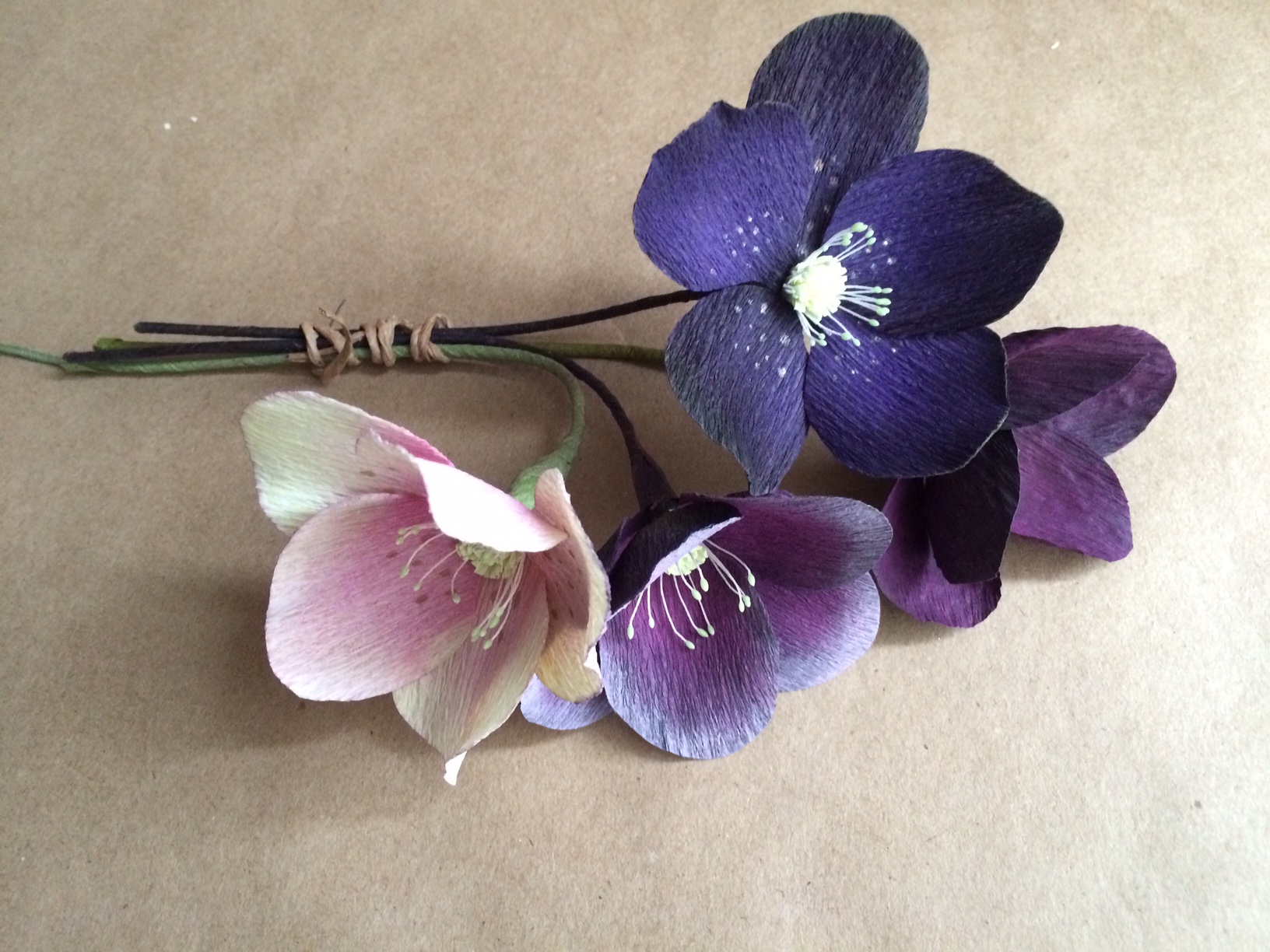 hellebores