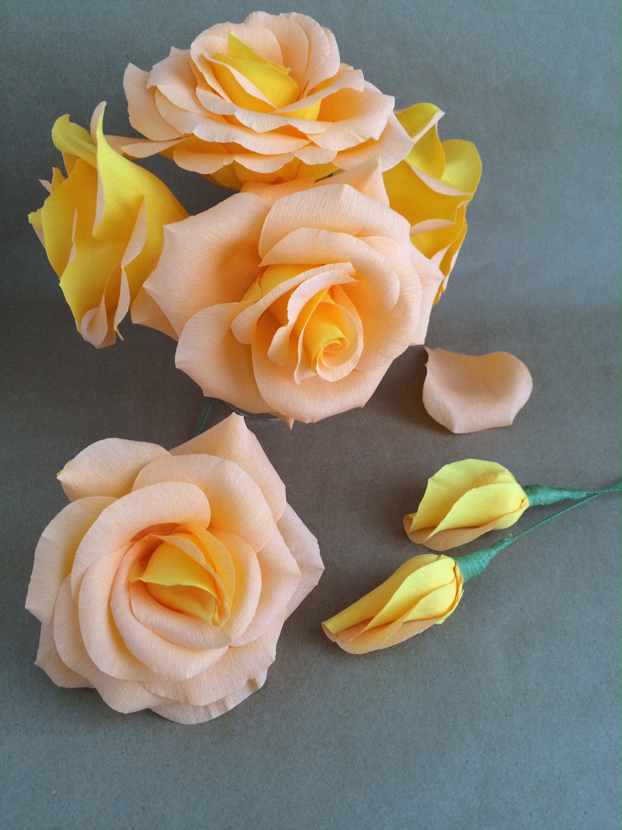 golden peach roses