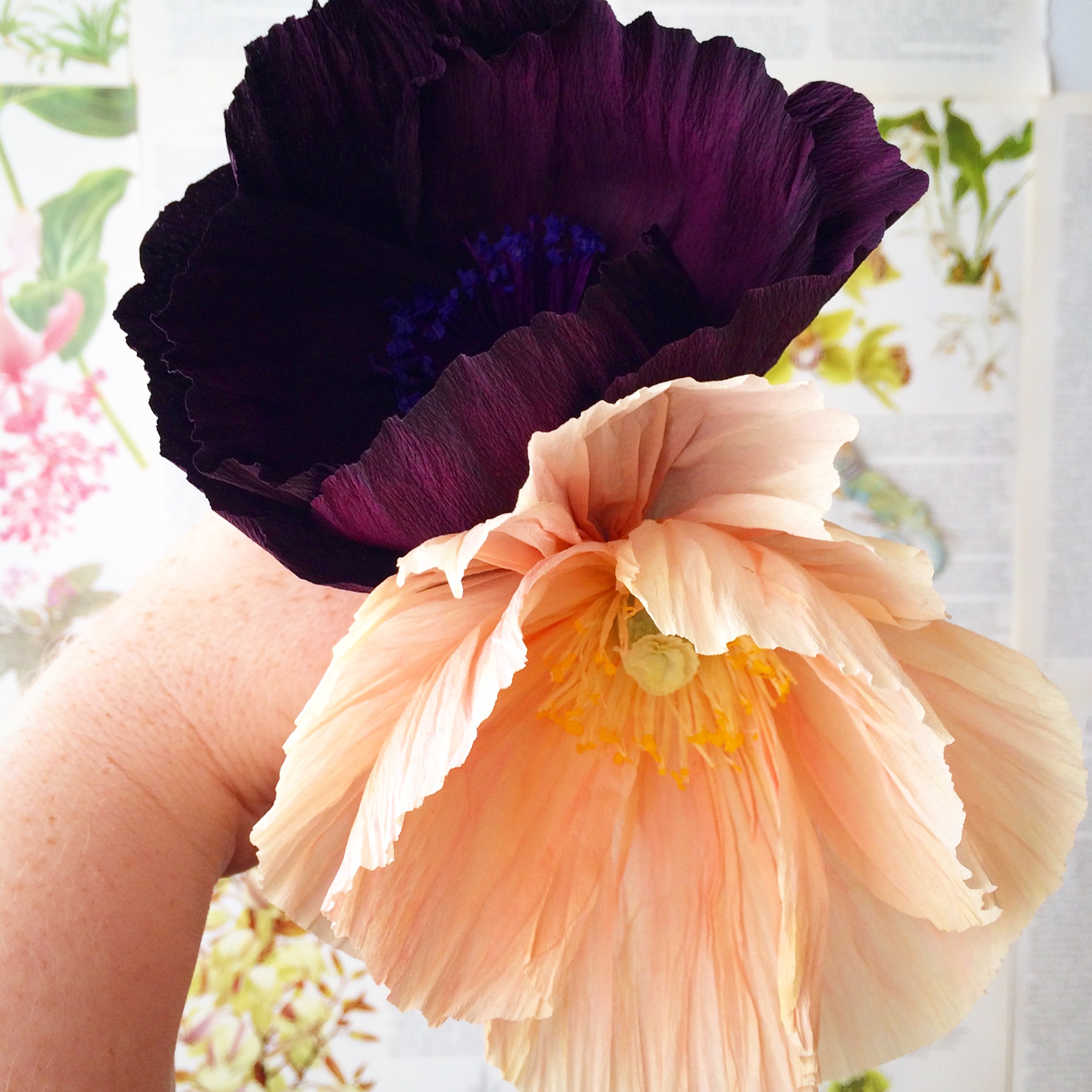 poppies