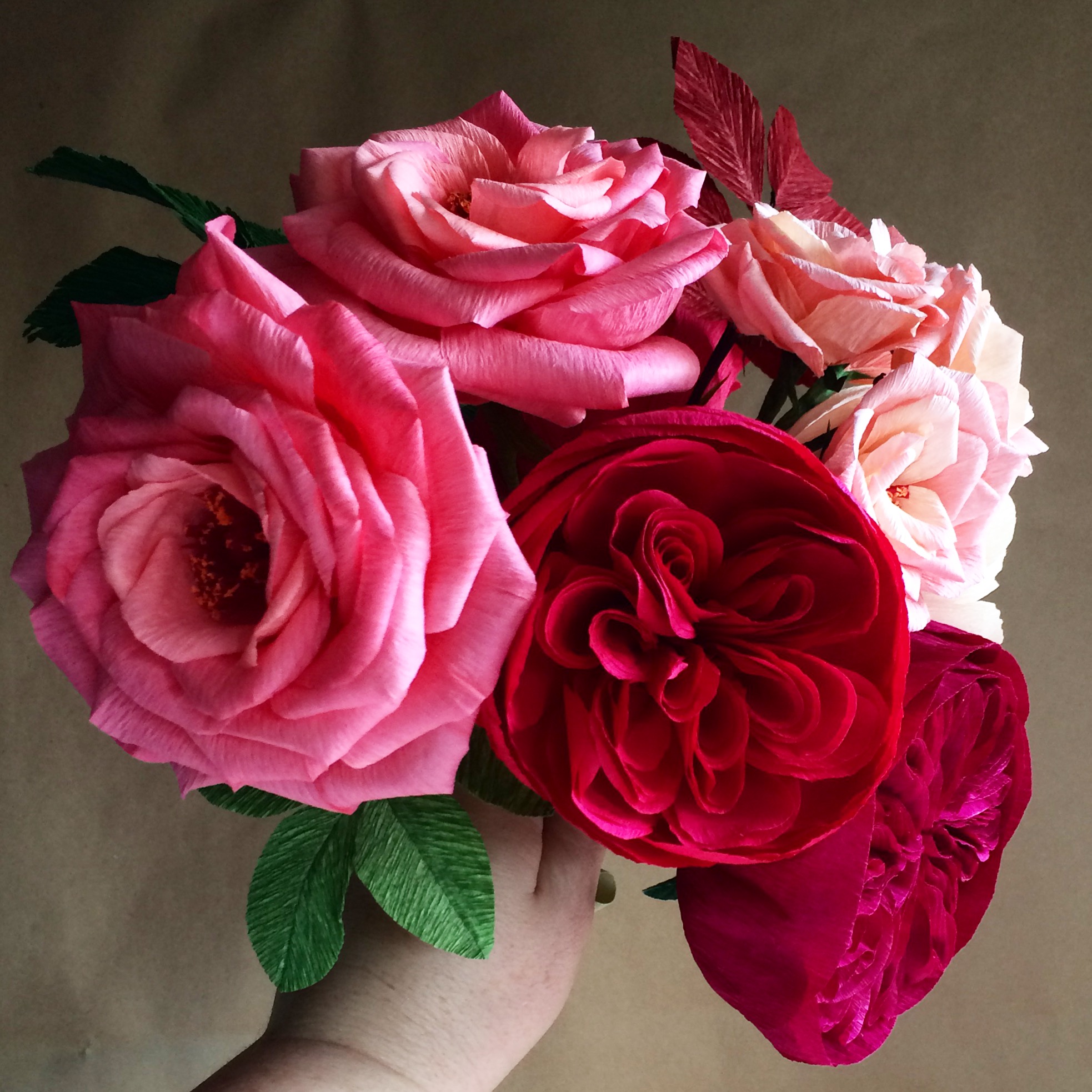 garden roses